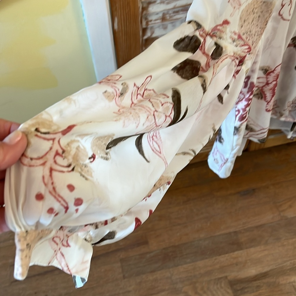 Sheer Blouse - image 3